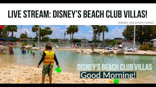 Disney’s Stormalong Bay  Beach Club Villas  Good Morning  Live Stream [upl. by Nomolas]