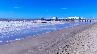 quotMisión CumplidaLa Pesca perfecta en Pinamar quot🎣 [upl. by Eenalem]