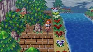 Wii Animal Crossing City Folk Day 234 quotMaking a Path in the Rainquot [upl. by Junieta259]