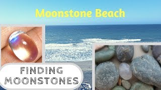 Finding Cambrian Moonstones on Moonstone Beach  Cambria CA  Rockhounding  Crystal Collector [upl. by Lesya]