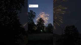 Results trazodone  gabapentin during July 4 fireworks dogcare doglove foxhound [upl. by Treat58]