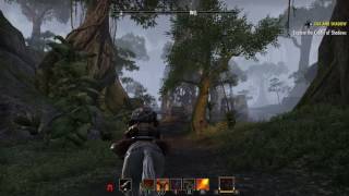 Valenwood as shown in The elder scrolls online Part 1 [upl. by Inoek]