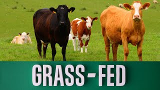 GrassFed Farm Directory [upl. by Ecyt]