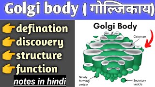 golgi body structure and function in hindi cell biology bsc biology [upl. by Cristian920]