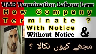 UAE Labour Law Termination l Labour Termination Rules l Important Update Terminate UAELOCALNEWS [upl. by Ailekat608]