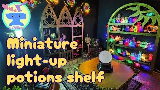 I made a miniature lightup potions shelf [upl. by Pruter]