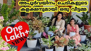 അപൂർവഇനം ചെടികൾ കാണാംവാങ്ങാംചെടിവീട്Rare Indoor PlantsPriyanka Botanical GardenHappyHomesAkhila [upl. by Laehcim]