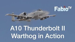 A10 Thunderbolt II  Warthog in Action [upl. by Amuwkuhc]