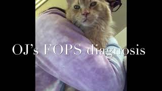 Feline Orofacial Pain Syndrome FOPS [upl. by Hakym]