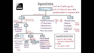 Hiponatremia  Español [upl. by Sou]