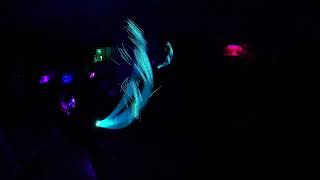 Trippy Dual Whip 4k LIVE Drums Tiësto Remix by James Hype amp Tiësto ft Kim Petras [upl. by Rodrick]