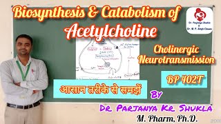 Biosynthesis and Catabolism of Acetylcholine  Cholinergic Transmission  BP 402T [upl. by Adnilemreh]