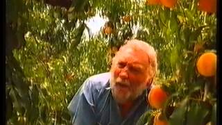 Goulburn Valley Fruit  Australian Ad 1991 [upl. by Darbie]