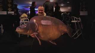 Videotagebuch  CARP Zwolle 2014 [upl. by Lekar]