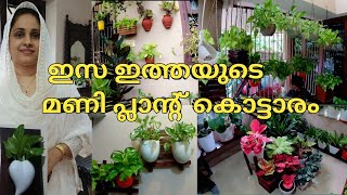 beautiful indoor plant setingsGarden Tour അടിപൊളി ഇൻഡോർ പ്ലാന്റ് വീട് [upl. by Lotson94]