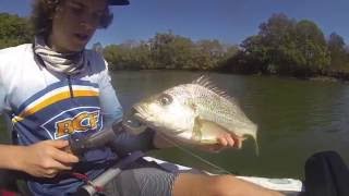 Coomera river fishing for mangrove jack ep11 [upl. by Dixon]