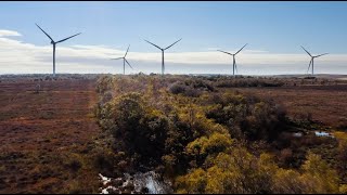 Greengairs East Wind Farm  Muirhall Energy and Engie Supply UK [upl. by Agle]