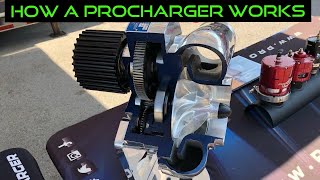 How a Procharger works Cutaway view [upl. by Vere]