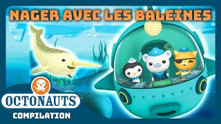 Octonauts  🤿 Nager avec les baleines 🐋  Journée mondiale de la baleine  Compilation [upl. by Nicholas]