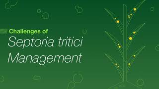 Chapter 2  Challenges of Septoria tritici management [upl. by Josi189]