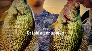 Cribbing crappies [upl. by Schlicher484]