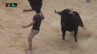 4 Toros Festa la Vila 2012  La Vilavella Castellon Bous al carrer Toros FJGNtv [upl. by Anitnatsnok]