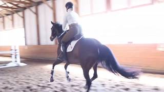 Genevieve Izzy and Maggie Allison Springer Clinic April 2019 [upl. by Ric]