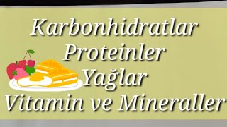 4Sınıf Fen bilimleri 2üniteBesinlerimiz ve özelliklerikarbonhidratyağvitamin mineral protein [upl. by Chandler]