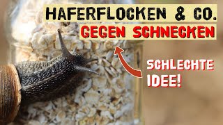 Schneckenplage 2024  Nicht jeder Tipp hilft gegen Schnecken im Gemüsegarten Helfen Haferflocken [upl. by Dardani]