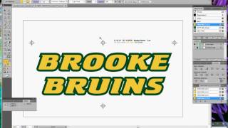 Adobe Illustrator Step By Step basic screen print spot color separation methods [upl. by Gram]