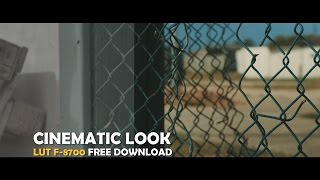 BMPCC Cinematic Look with LUT F8700 Download [upl. by Danas]