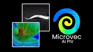 Artificial Intelligence in Particle Image Velocimetry [upl. by Nuawed]