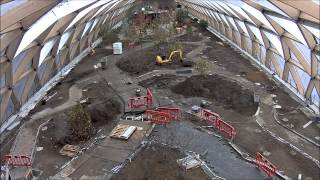 Fosters Crossrail Place roof garden at Canary Wharf [upl. by Attenad694]