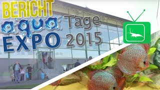 AQUA EXPO TAGE 2015  MESSEBERICHT  GarnelenTv [upl. by Press497]