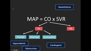 POCUS estimation of cardiac output [upl. by Eltsyrk156]