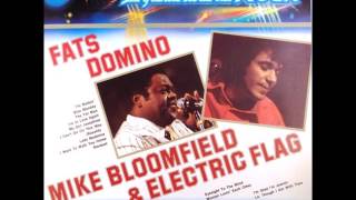 Fats Domino  Grand Storia Del ROCK 77  Live album 09 GSR 77 Italy [upl. by Geerts98]