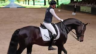 Ingrid Klimke Equitana 2022 [upl. by Ahsied]