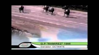 OCTANTE Vilmar Sanguinetti  Gran Premio Jose Pedro Ramirez 1988 [upl. by Avery]