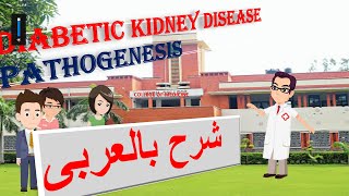 DIABETIC NEPHROPATHY PATHOPHYSIOLOGY شرح بالعربى [upl. by Seira]