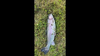 Fermeture de la Peche a la Truite au Flotteur en Riviere [upl. by Eirruc]