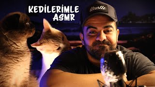 KEDİLERİMLE ASMR 🐈 😻 🐈‍⬛  KEDİ MUKBANG  ASMR [upl. by Nattirb]