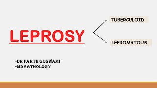 Leprosy Pathology [upl. by Johnny]