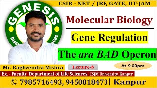 Arabinose Operon  Gene Regulation Lecture8  CSIR NETJRF  Life science [upl. by Zoarah259]