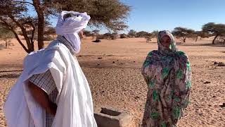 Mauritania Adrar Unique vegetable garden in Sahara  Mauritanie Adrar Potager unique dans le Sahara [upl. by Noinatrad]