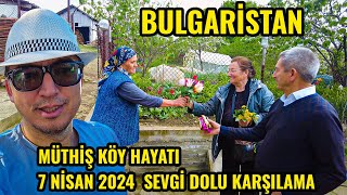 Bulgaristan Rengarenk Laleler ile Kaplı Köy Bahçesi  Kırcaali Ördekler Köyü 2024 [upl. by Nidnal]