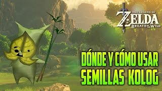 CÓMO Y DÓNDE USAR SEMILLAS KOLOG 🌱  LEGEND OF ZELDA BREATH OF THE WILD [upl. by Niveg]