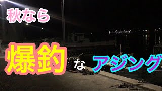 秋なら爆釣なアジング 知多半島 月下美人 知多湾 [upl. by Mattias]