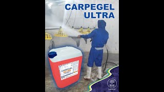 Desengrasado de Caseta de Pollos con CARPEGEL ULTRA [upl. by Asimaj]