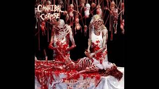 Cannibal Corpse  Gutted instrumental  karaoke track [upl. by Hermina]