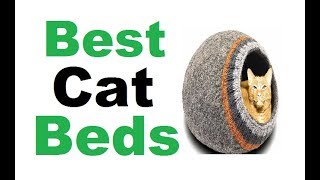 Cat beds diy  Best Cat Beds  Cat Beds [upl. by Maxima]